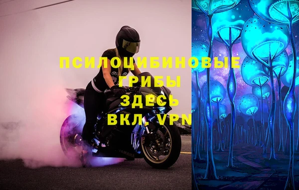 apvp Волоколамск
