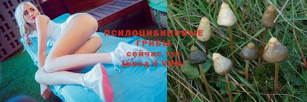 ALPHA-PVP Волосово
