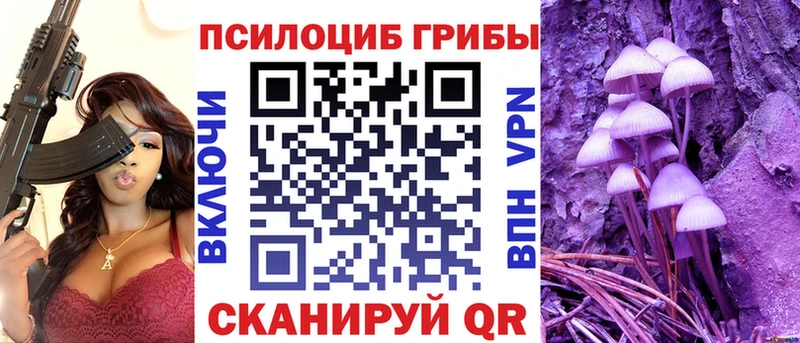 Галлюциногенные грибы Psilocybine cubensis Краснослободск